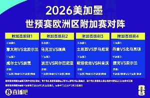詹俊：感觉意大利能赢北爱尔兰，瑞典必须双前锋发挥才有希望晋级